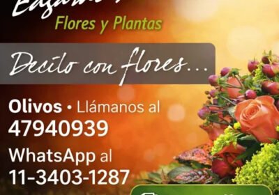 edgardo-flores-e1769982857724